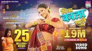 Read more about the article Aap Mere Hero Mein Heroine Aapki Lyrics – Goldi Yadav